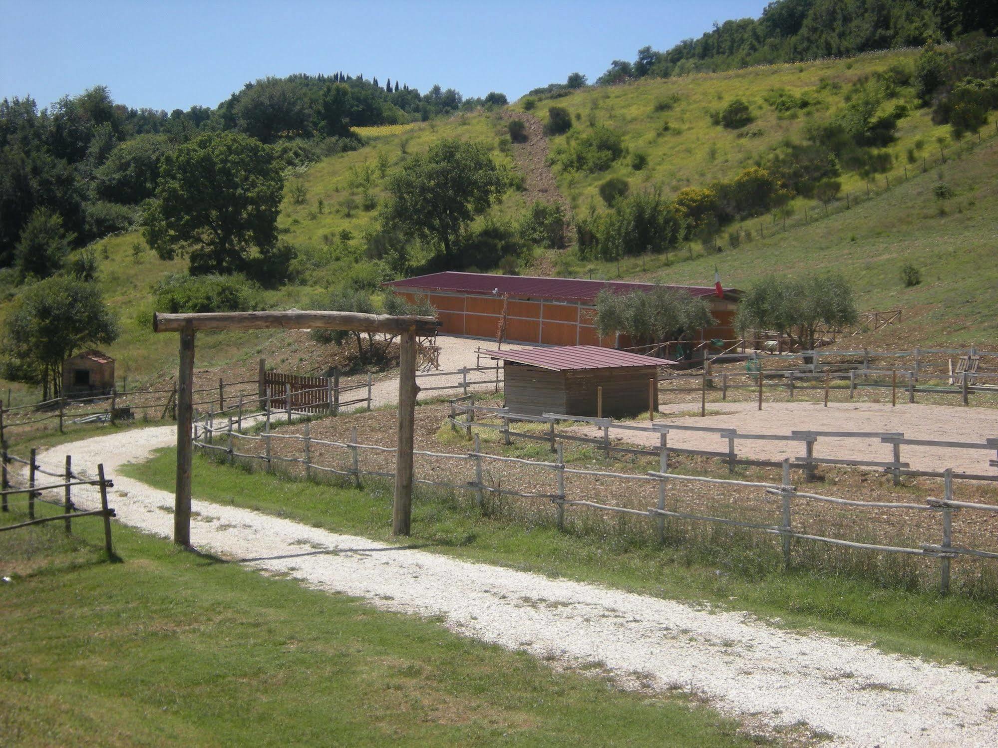 Agriturismo Goccia Di Luna 艾姆波蒂德 外观 照片