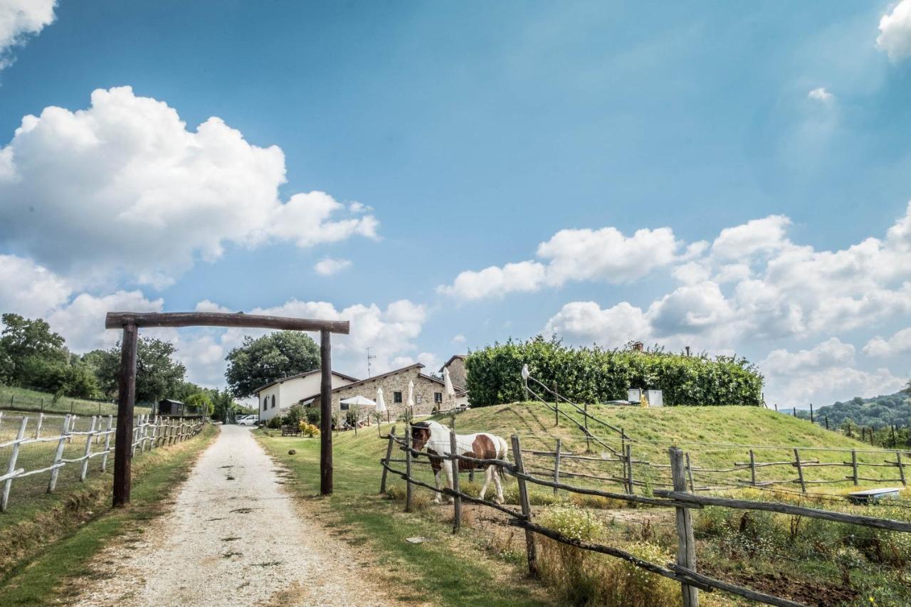 Agriturismo Goccia Di Luna 艾姆波蒂德 外观 照片