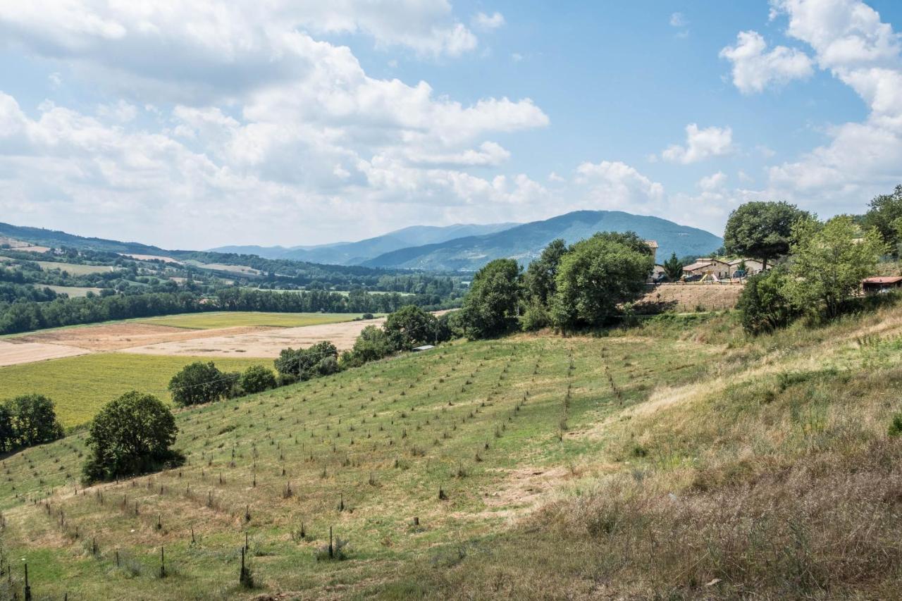 Agriturismo Goccia Di Luna 艾姆波蒂德 外观 照片