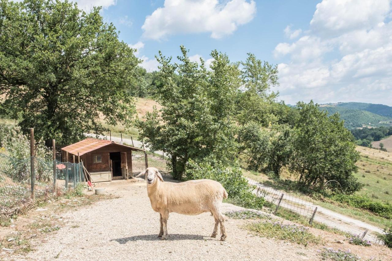 Agriturismo Goccia Di Luna 艾姆波蒂德 外观 照片