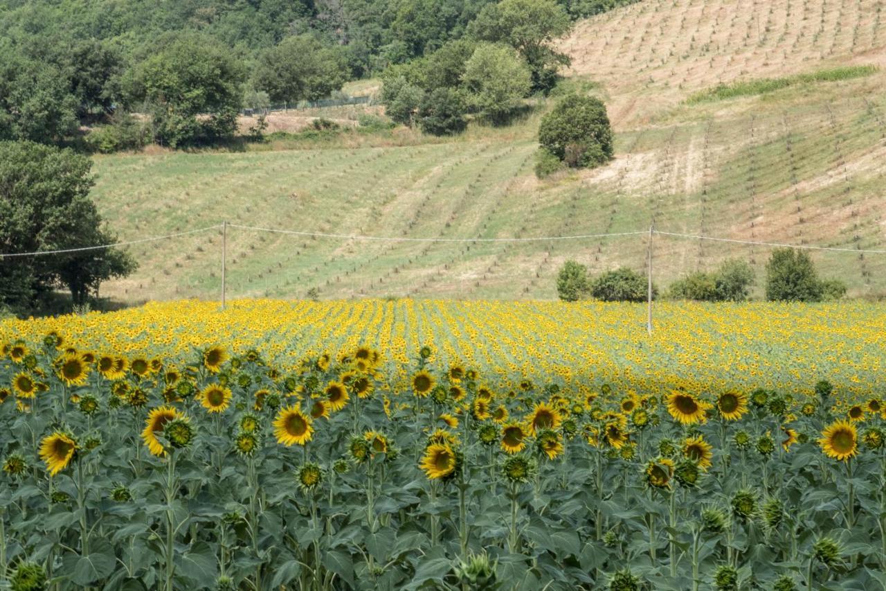 Agriturismo Goccia Di Luna 艾姆波蒂德 外观 照片