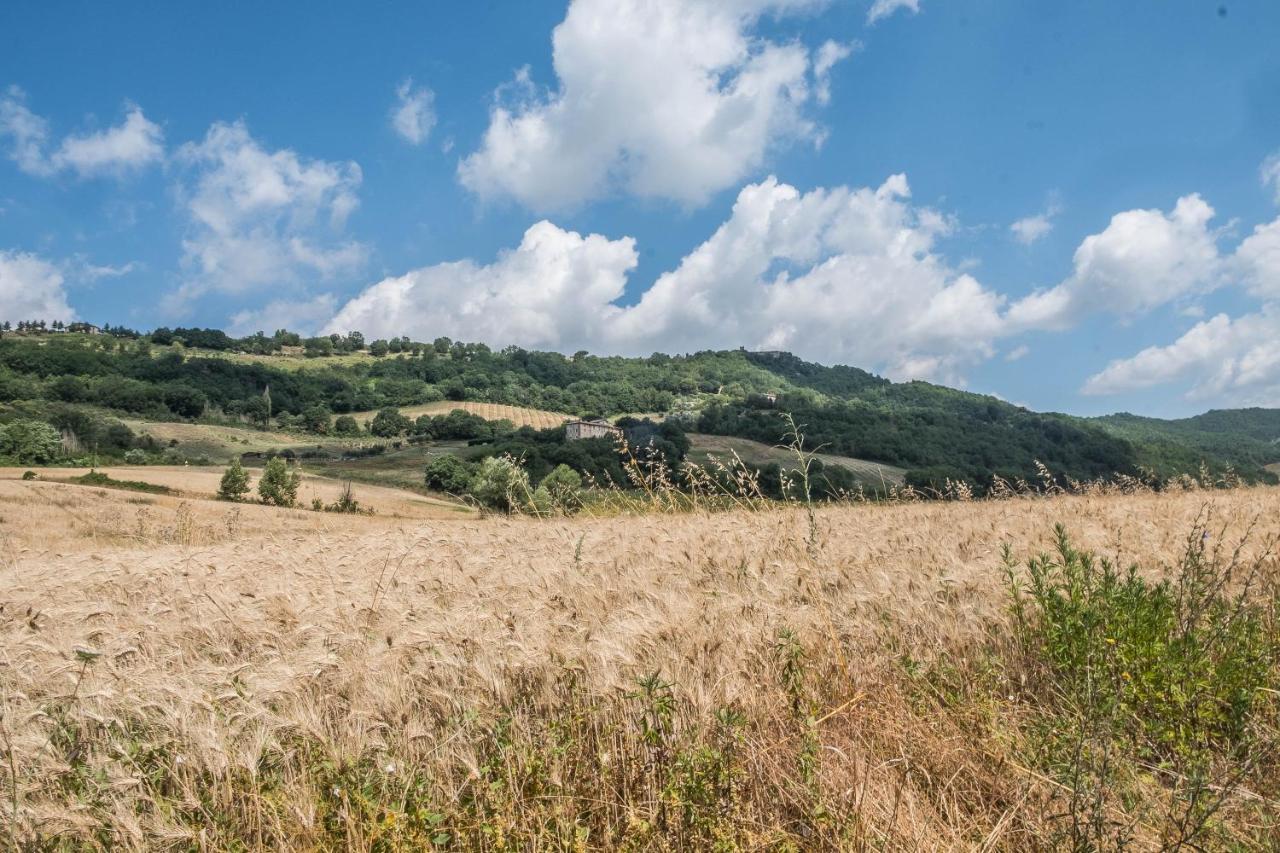 Agriturismo Goccia Di Luna 艾姆波蒂德 外观 照片