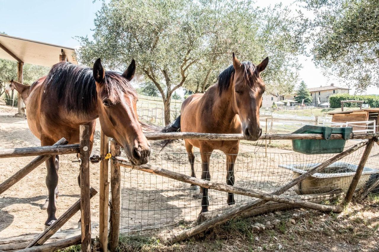 Agriturismo Goccia Di Luna 艾姆波蒂德 外观 照片