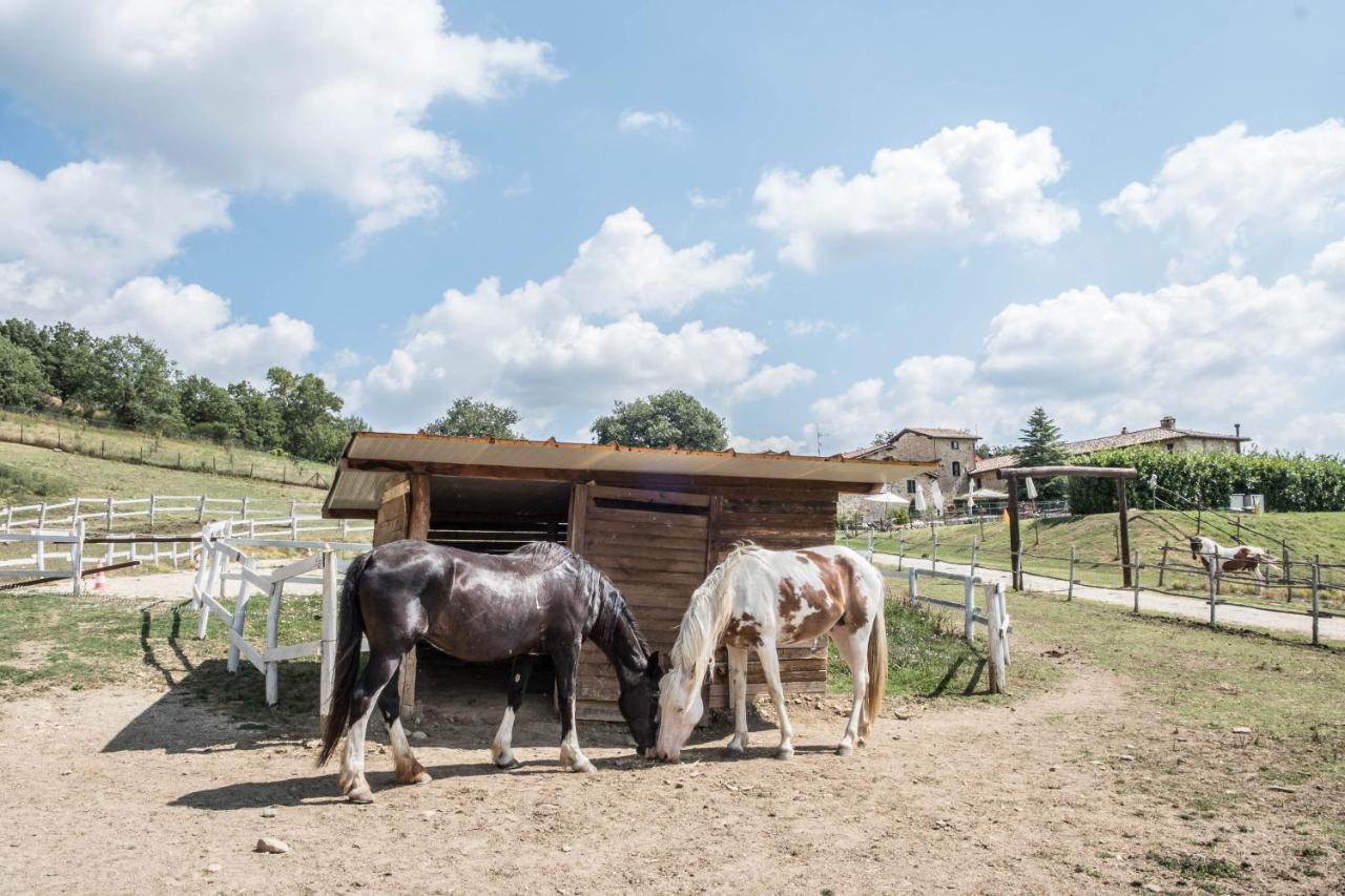 Agriturismo Goccia Di Luna 艾姆波蒂德 外观 照片